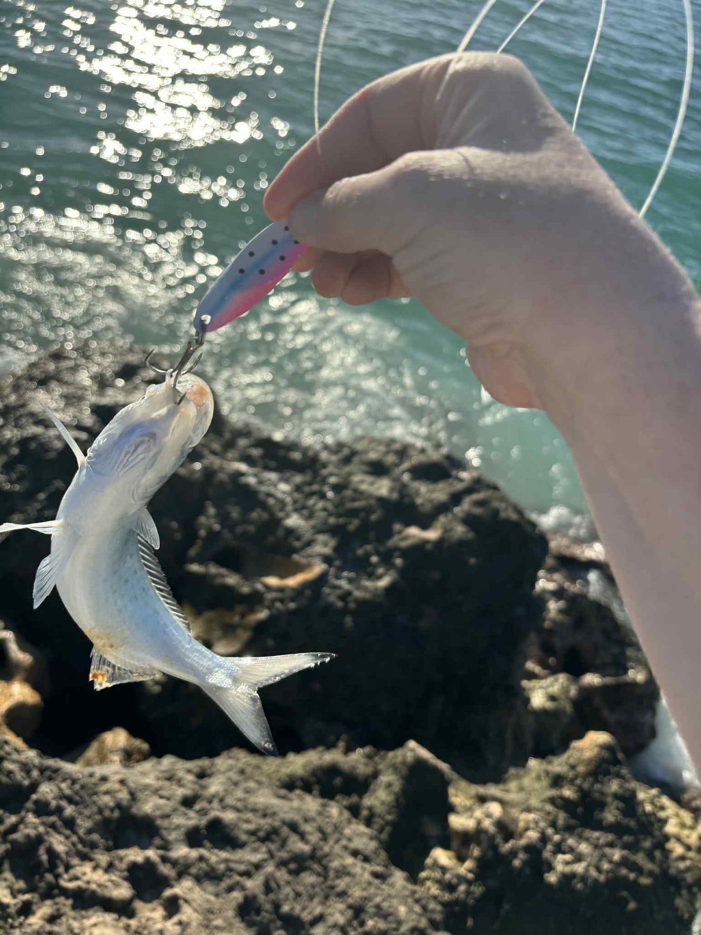 5 piece Custom Slice pack