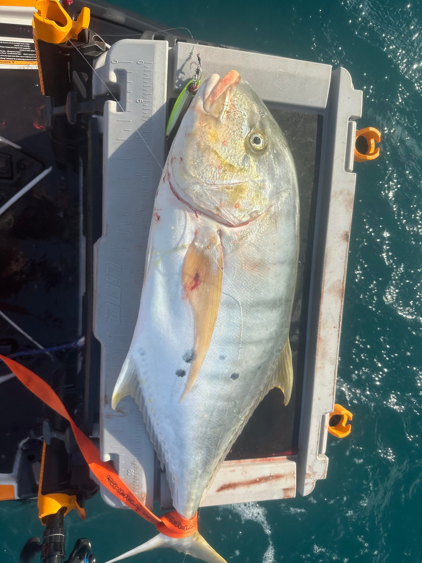 Aussie green n gold jig