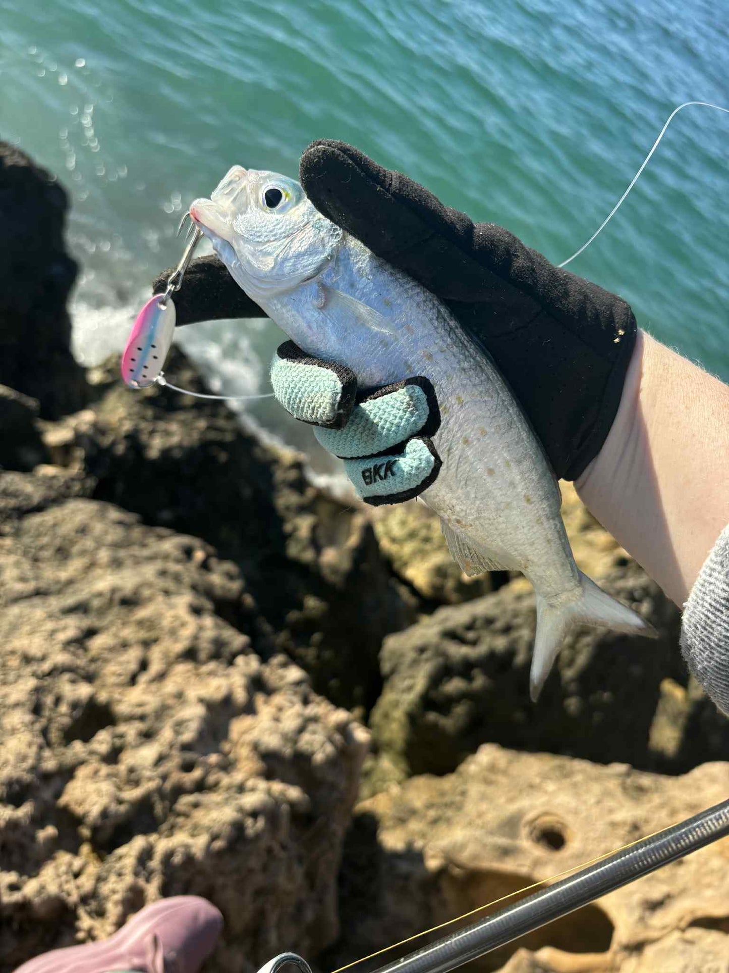 5 piece Custom Slice pack